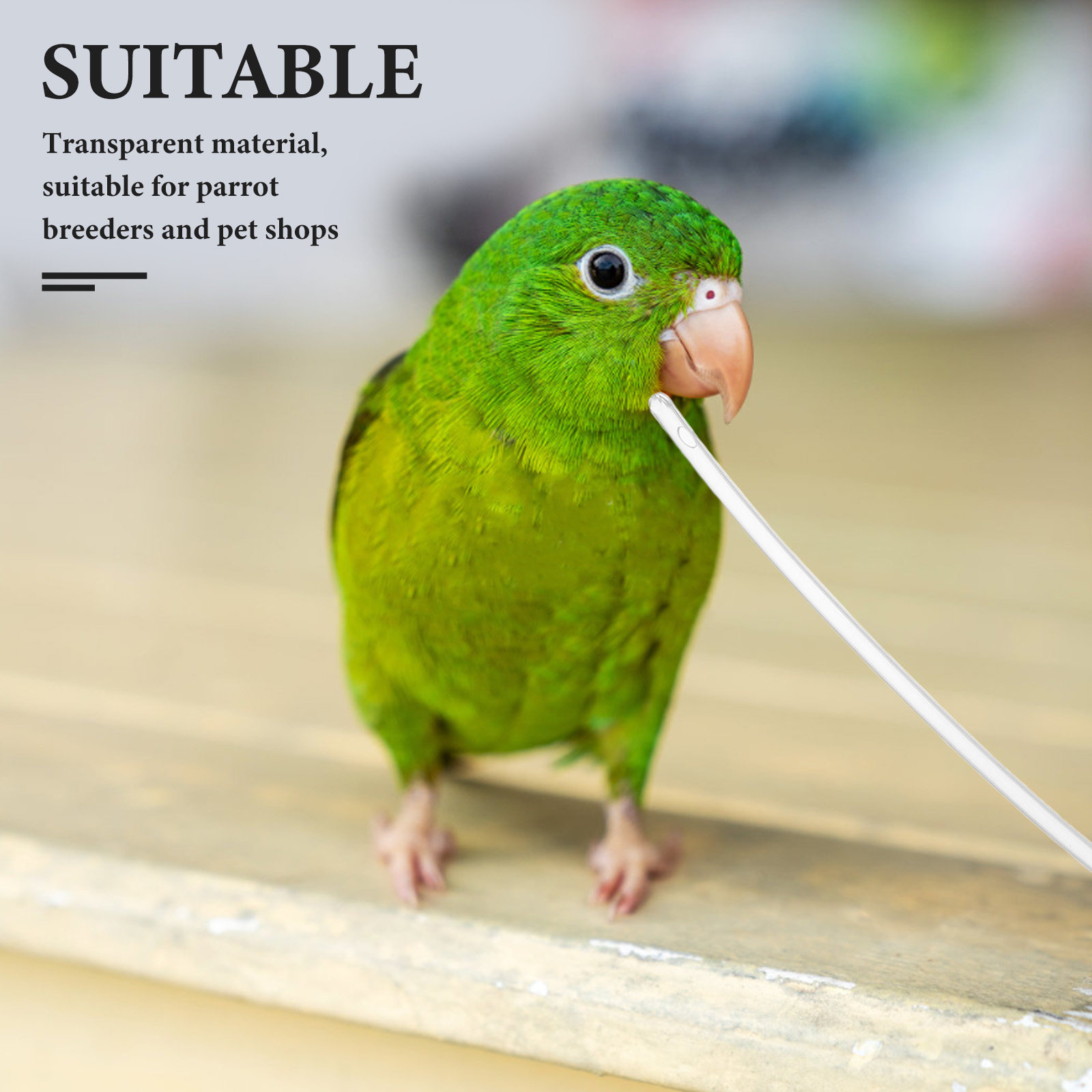10Pcs Clear Soft Parrot Feeder - đánh giá và giá Baby Food Youtube